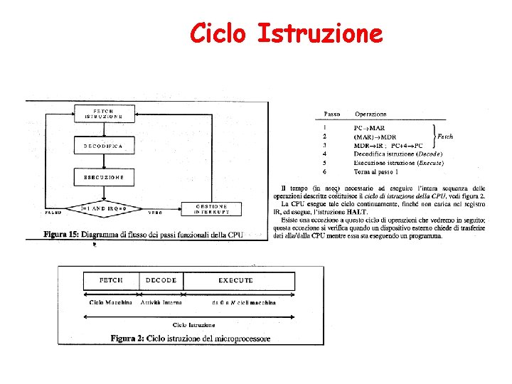 Ciclo Istruzione 