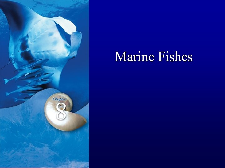 Marine Fishes 