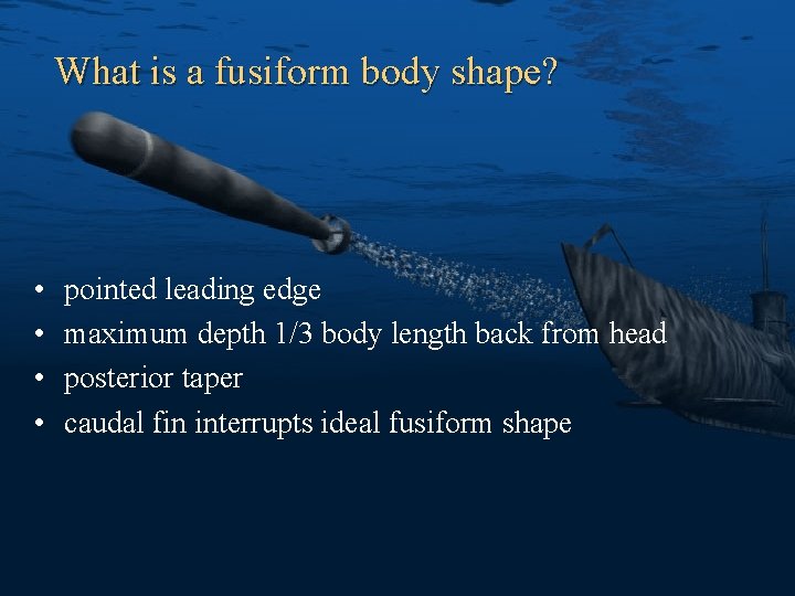 What is a fusiform body shape? • • pointed leading edge maximum depth 1/3
