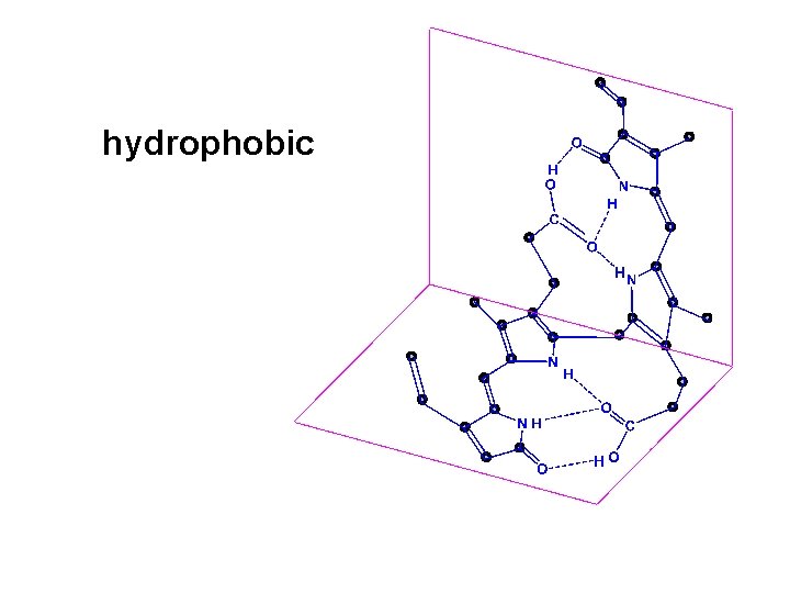 hydrophobic 