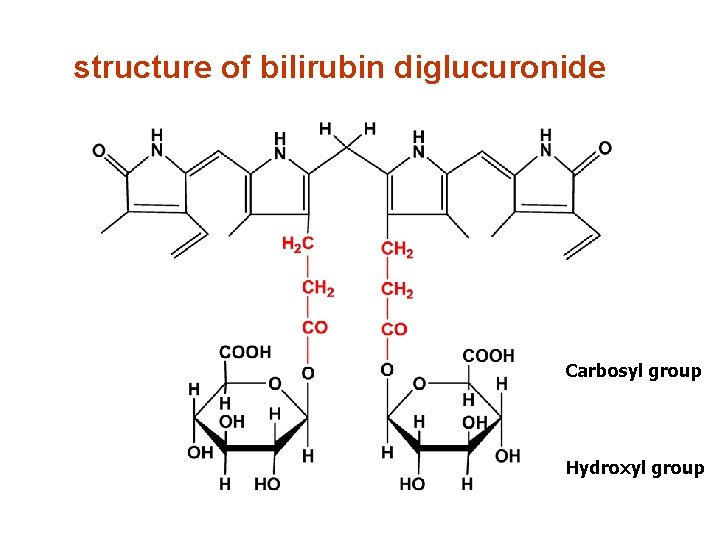 structure of bilirubin diglucuronide Carbosyl group Hydroxyl group 