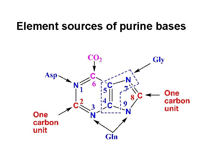 Element sources of purine bases 