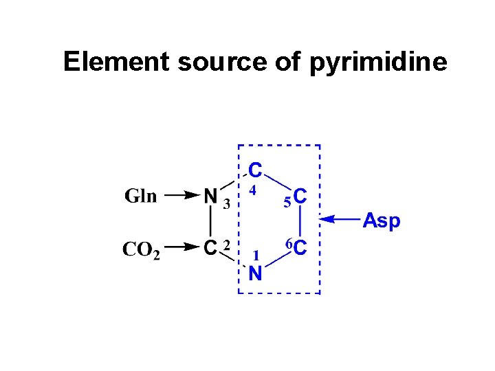 Element source of pyrimidine 