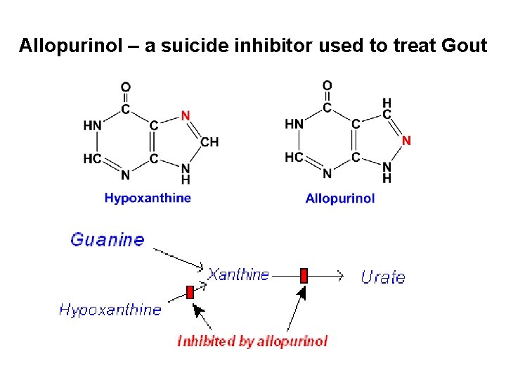 Allopurinol – a suicide inhibitor used to treat Gout 