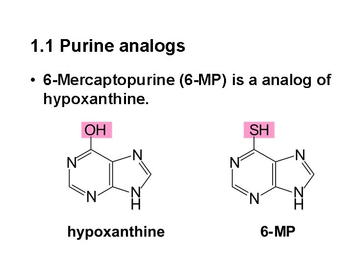 1. 1 Purine analogs • 6 -Mercaptopurine (6 -MP) is a analog of hypoxanthine.