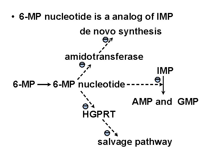  • 6 -MP nucleotide is a analog of IMP de novo synthesis -