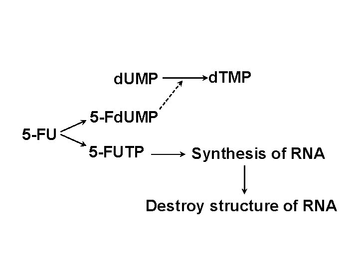 d. UMP 5 -FU d. TMP 5 -Fd. UMP 5 -FUTP Synthesis of RNA