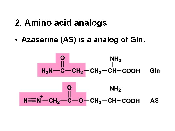 2. Amino acid analogs • Azaserine (AS) is a analog of Gln. 