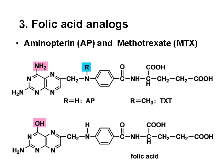 3. Folic acid analogs • Aminopterin (AP) and Methotrexate (MTX) 