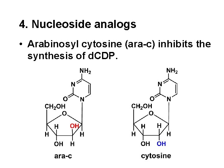 4. Nucleoside analogs • Arabinosyl cytosine (ara-c) inhibits the synthesis of d. CDP. 