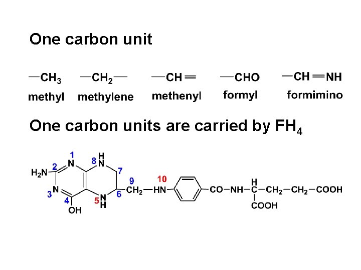 One carbon units are carried by FH 4 