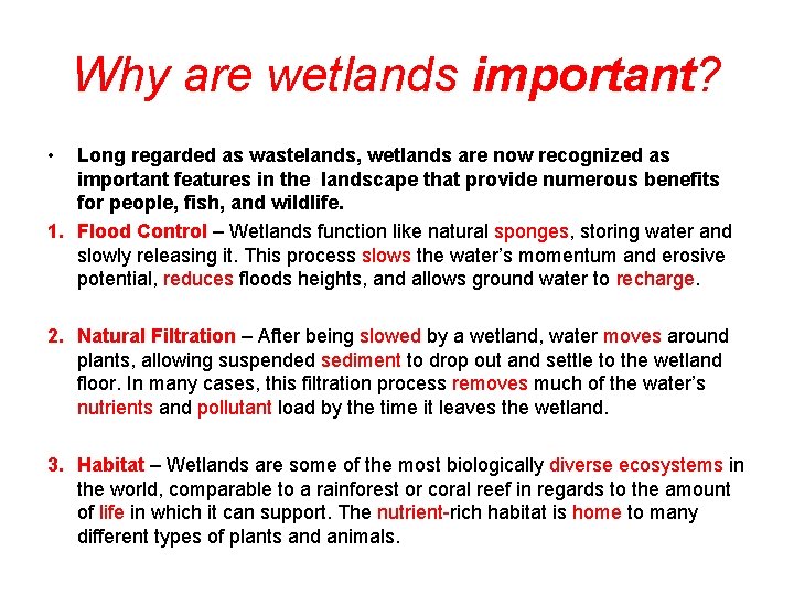 Why are wetlands important? • Long regarded as wastelands, wetlands are now recognized as