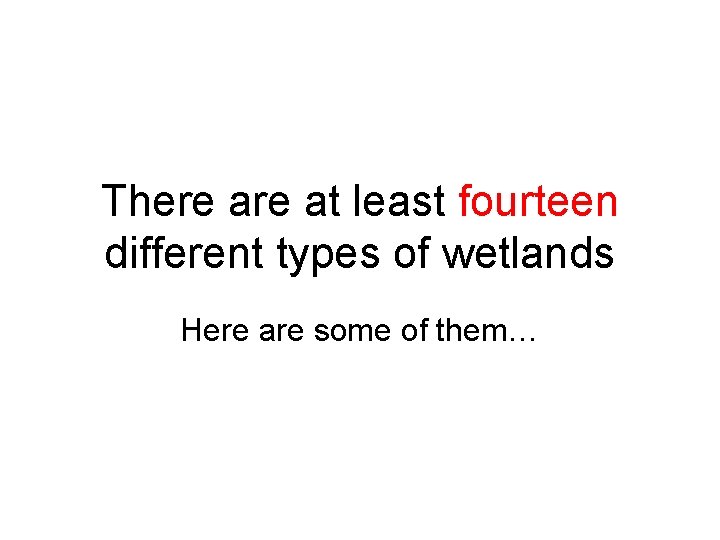 There at least fourteen different types of wetlands Here are some of them… 