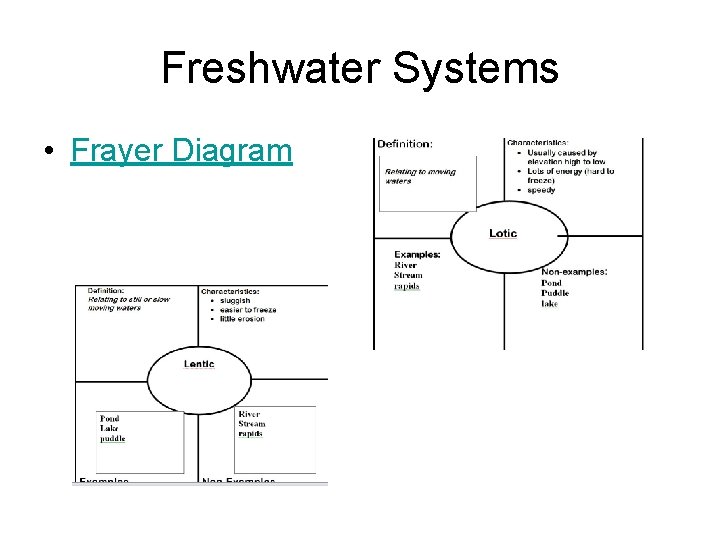 Freshwater Systems • Frayer Diagram 