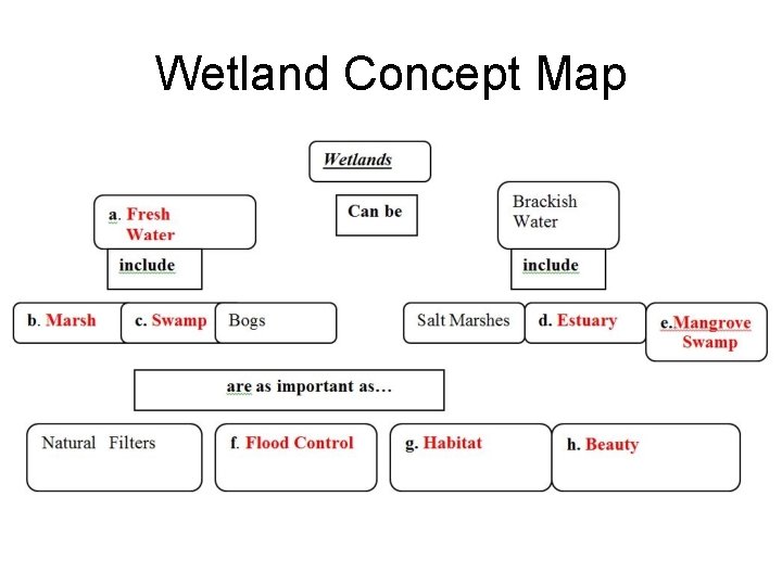 Wetland Concept Map 