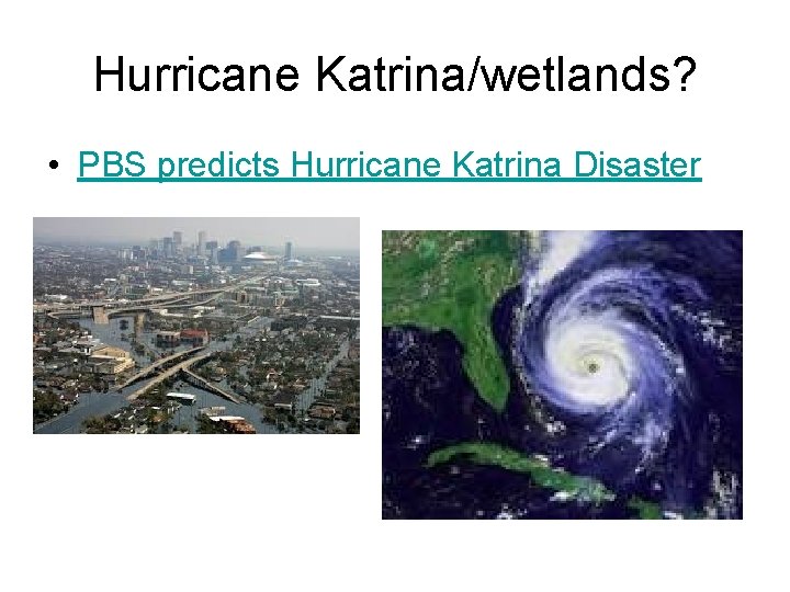 Hurricane Katrina/wetlands? • PBS predicts Hurricane Katrina Disaster 