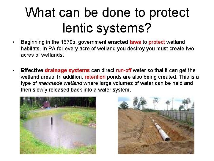 What can be done to protect lentic systems? • Beginning in the 1970 s,