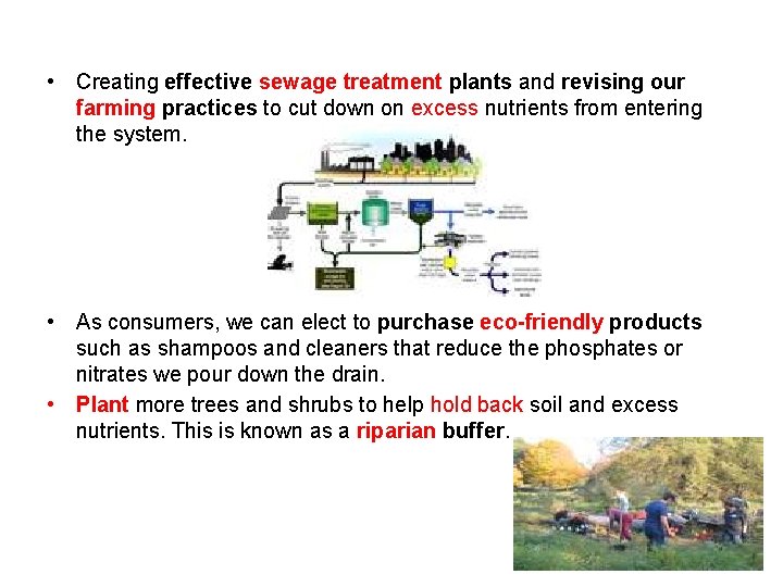  • Creating effective sewage treatment plants and revising our farming practices to cut