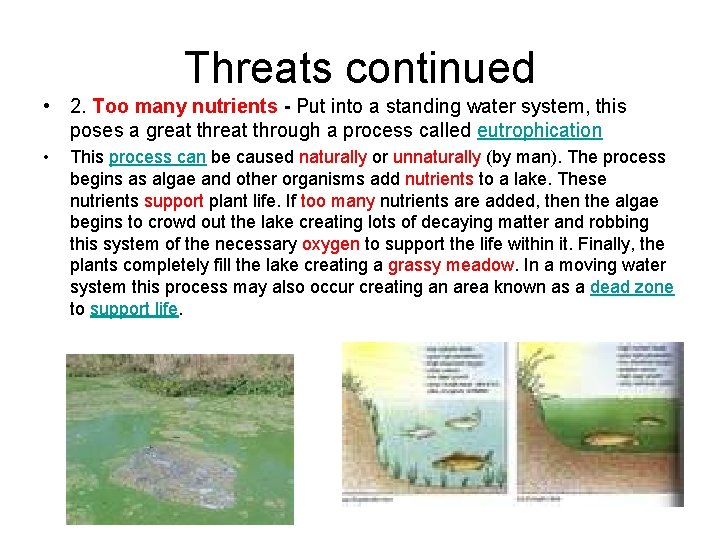 Threats continued • 2. Too many nutrients - Put into a standing water system,