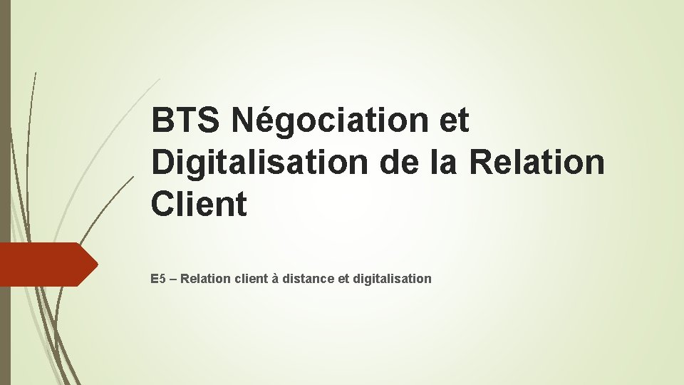 BTS Négociation et Digitalisation de la Relation Client E 5 – Relation client à