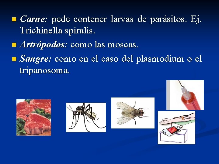 Carne: pede contener larvas de parásitos. Ej. Trichinella spiralis. n Artrópodos: como las moscas.