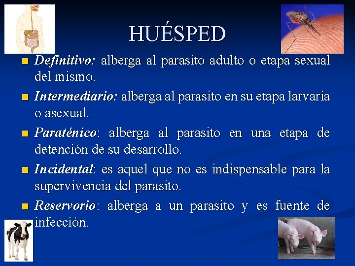 HUÉSPED n n n Definitivo: alberga al parasito adulto o etapa sexual del mismo.