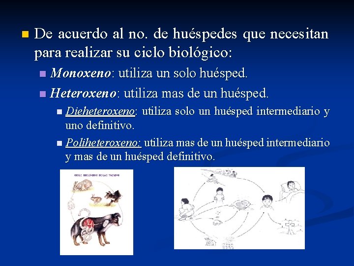 n De acuerdo al no. de huéspedes que necesitan para realizar su ciclo biológico: