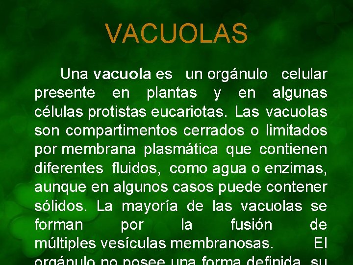 VACUOLAS Una vacuola es un orgánulo celular presente en plantas y en algunas células