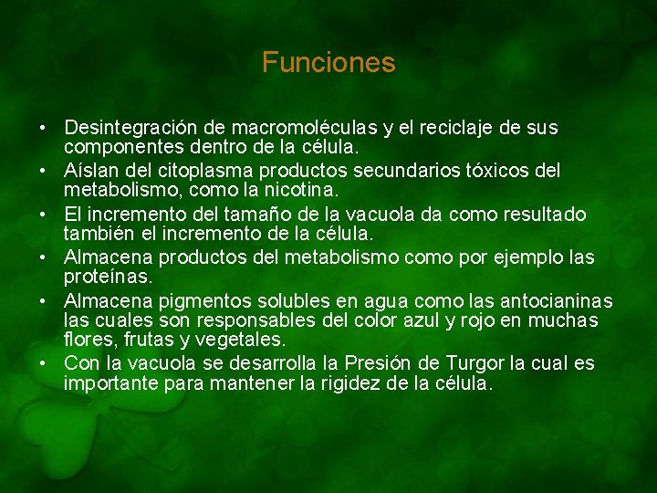 Funciones • Desintegración de macromoléculas y el reciclaje de sus componentes dentro de la