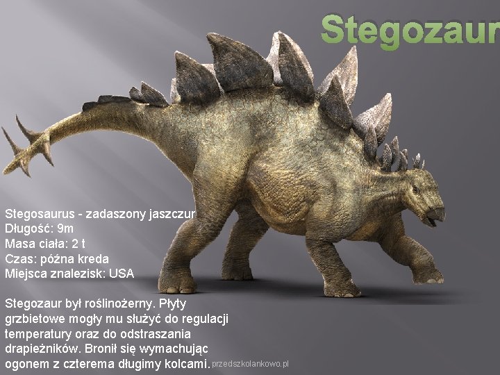 Stegozaur Stegosaurus - zadaszony jaszczur Długość: 9 m Masa ciała: 2 t Czas: późna Stegozaur Stegosaurus - zadaszony jaszczur Długość: 9 m Masa ciała: 2 t Czas: późna