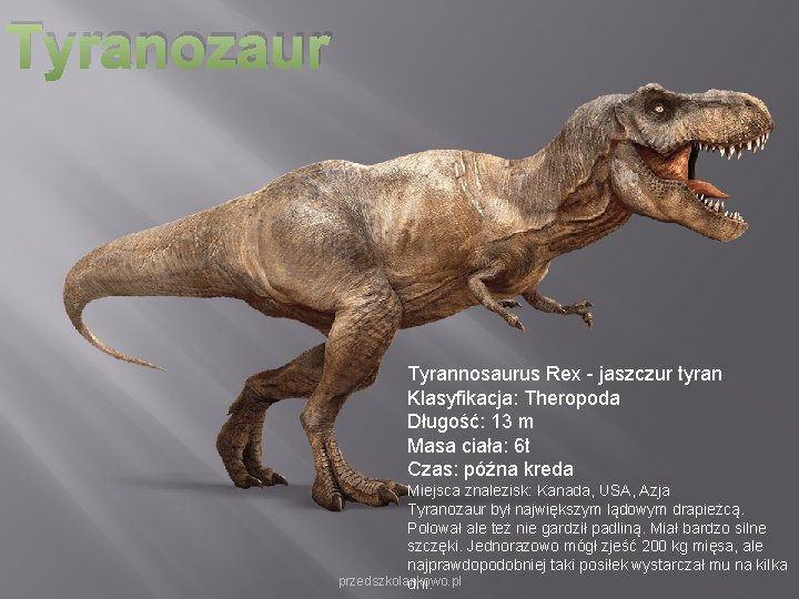 Tyranozaur Tyrannosaurus Rex - jaszczur tyran Klasyfikacja: Theropoda Długość: 13 m Masa ciała: 6 Tyranozaur Tyrannosaurus Rex - jaszczur tyran Klasyfikacja: Theropoda Długość: 13 m Masa ciała: 6