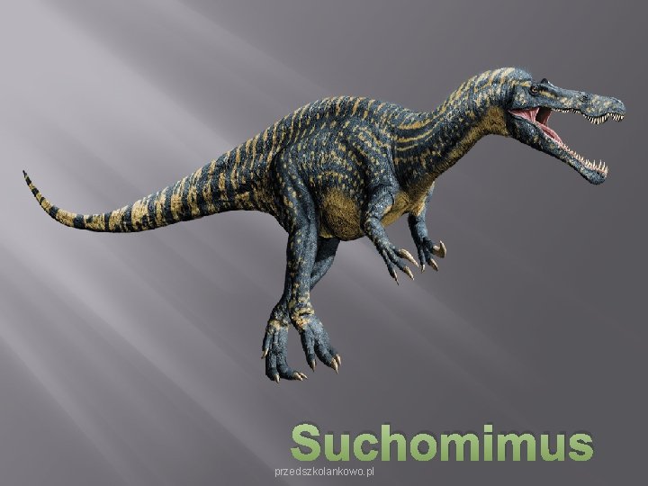 Suchomimus przedszkolankowo. pl Suchomimus przedszkolankowo. pl