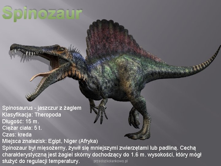 Spinozaur Spinosaurus - jaszczur z żaglem Klasyfikacja: Theropoda Długość: 15 m. Ciężar ciała: 5 Spinozaur Spinosaurus - jaszczur z żaglem Klasyfikacja: Theropoda Długość: 15 m. Ciężar ciała: 5
