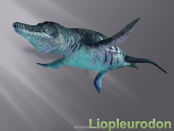 Liopleurodon przedszkolankowo. pl Liopleurodon przedszkolankowo. pl