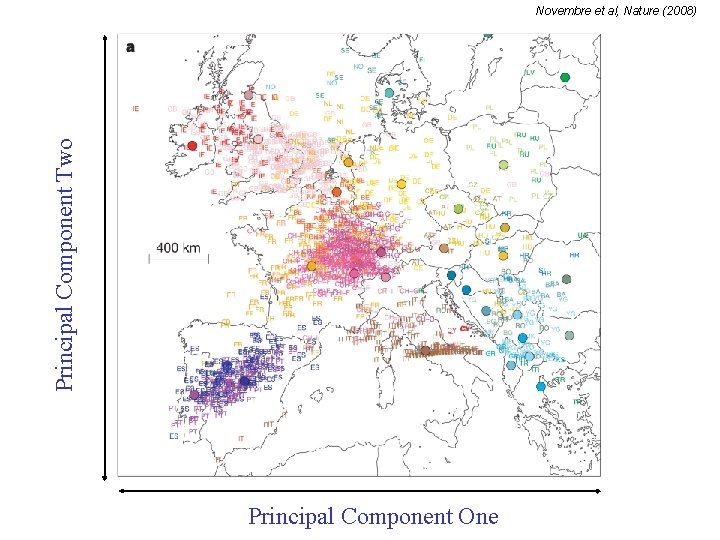 Principal Component Two Novembre et al, Nature (2008) Principal Component One 