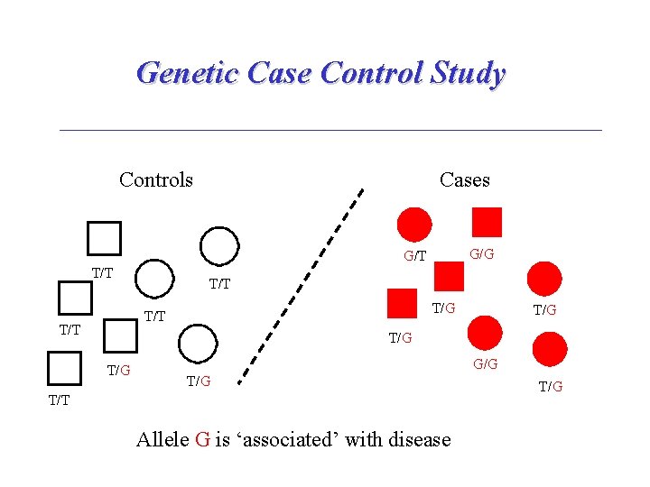 Genetic Case Control Study Controls Cases G/G G/T T/T T/G T/G G/G T/T Allele