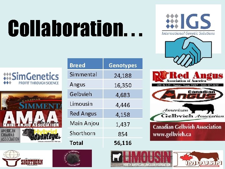 Collaboration. . . Breed Simmental Genotypes 24, 188 Angus 16, 350 Gelbvieh 4, 683