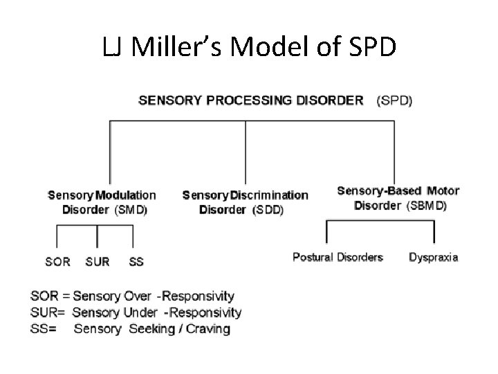 LJ Miller’s Model of SPD 