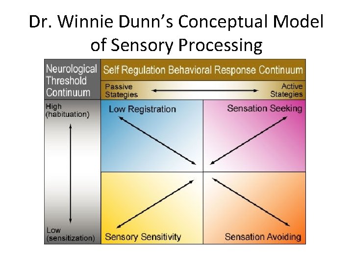 Dr. Winnie Dunn’s Conceptual Model of Sensory Processing 