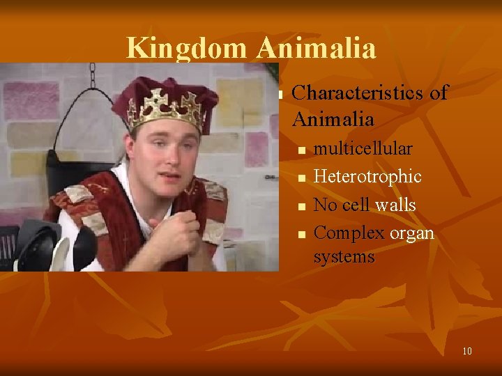 Kingdom Animalia n Characteristics of Animalia n n multicellular Heterotrophic No cell walls Complex