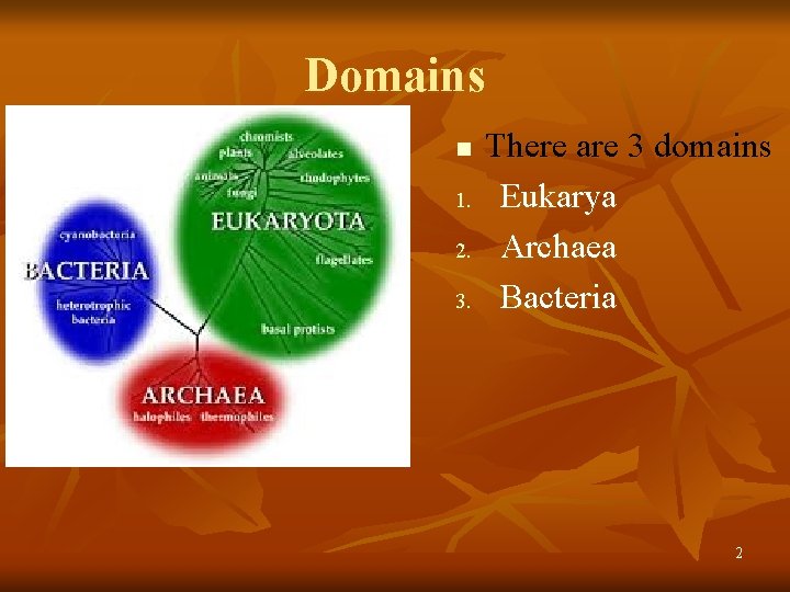 Domains n 1. 2. 3. There are 3 domains Eukarya Archaea Bacteria 2 