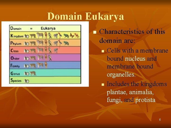 Domain Eukarya n Characteristics of this domain are: n n Cells with a membrane
