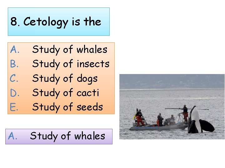 8. Cetology is the A. B. C. D. E. Study of whales Study of