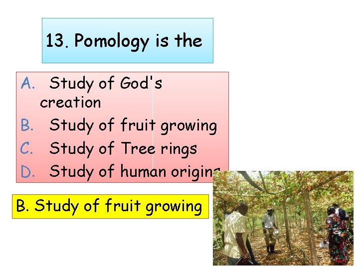 13. Pomology is the A. Study of God's creation B. Study of fruit growing