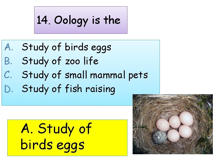 14. Oology is the A. B. C. D. Study of birds eggs Study of