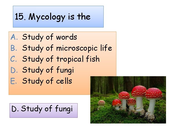 15. Mycology is the A. B. C. D. E. Study of words Study of