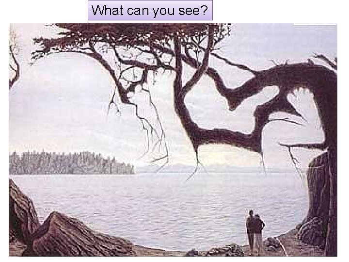 What can you see? 