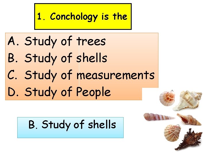 1. Conchology is the A. B. C. D. Study of trees Study of shells