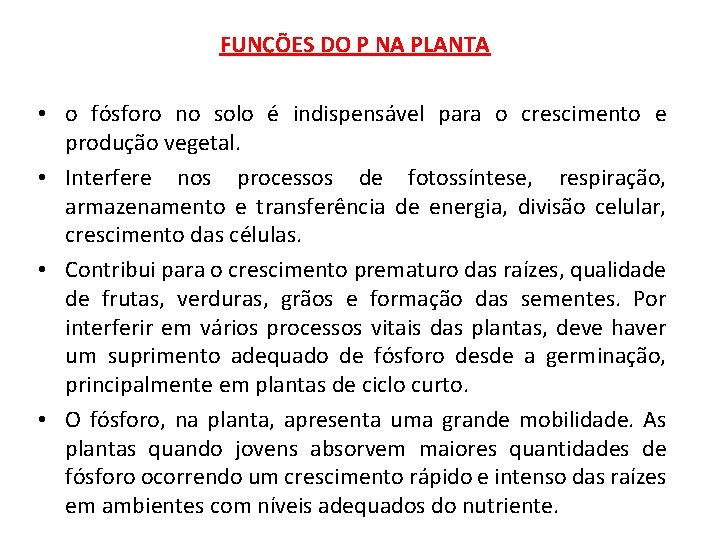 FUNÇÕES DO P NA PLANTA • o fósforo no solo é indispensável para o