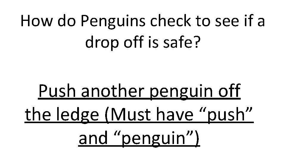 How do Penguins check to see if a drop off is safe? Push another